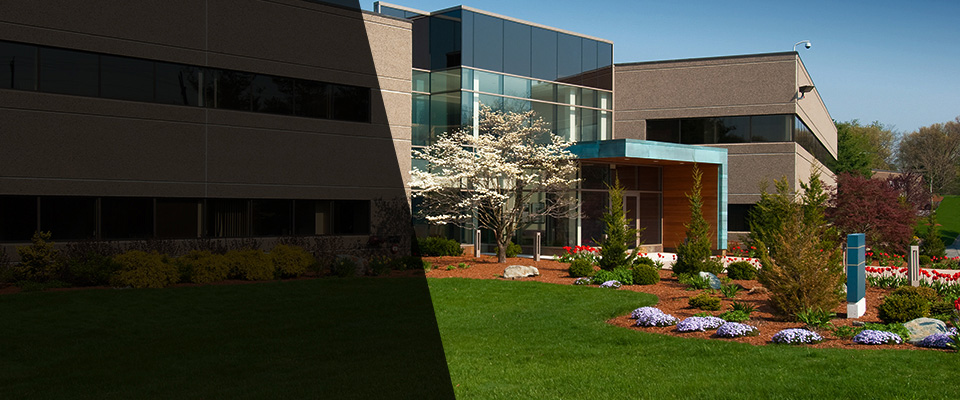 Whippany Landscapers