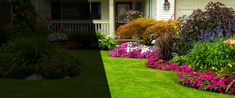 Whippany Landscapers