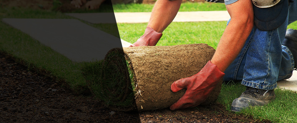 Whippany Landscapers